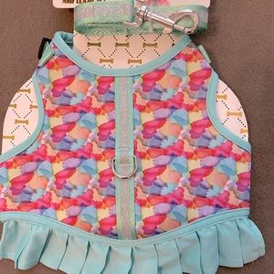 Harness and leash set